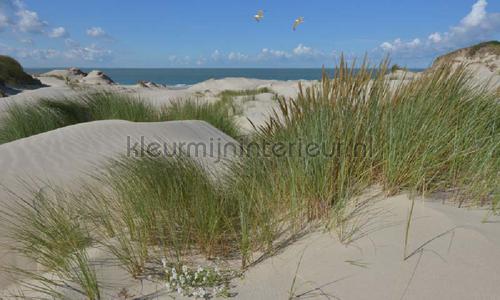 Noordwand Holland 5602 | Bestellen bij https://www.kleurmijninterieur.nl/
