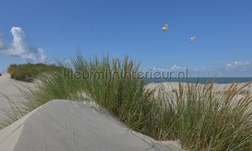 Noordwand Holland 5598 | Bestellen bij https://www.kleurmijninterieur.nl/