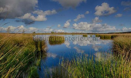 Noordwand Holland 1797 | Bestellen bij https://www.kleurmijninterieur.nl/