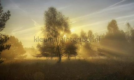 Noordwand Holland 4611 | Bestellen bij https://www.kleurmijninterieur.nl/