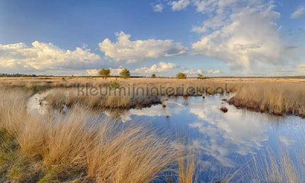 Noordwand Holland 677 | Bestellen bij https://www.kleurmijninterieur.nl/