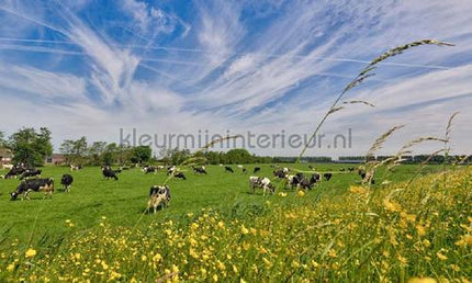 Noordwand Holland 1016 | Bestellen bij https://www.kleurmijninterieur.nl/