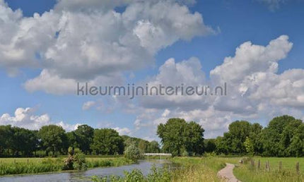 Noordwand Holland 3205 | Bestellen bij https://www.kleurmijninterieur.nl/