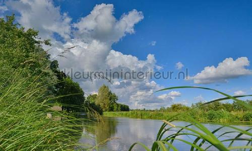 Noordwand Holland 3288 | Bestellen bij https://www.kleurmijninterieur.nl/