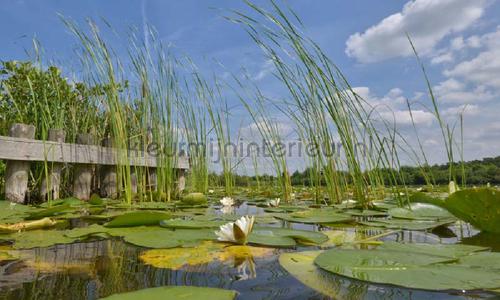 Noordwand Holland 4709 | Bestellen bij https://www.kleurmijninterieur.nl/