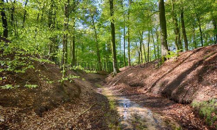 Noordwand Holland 3506 | Bestellen bij https://www.kleurmijninterieur.nl/