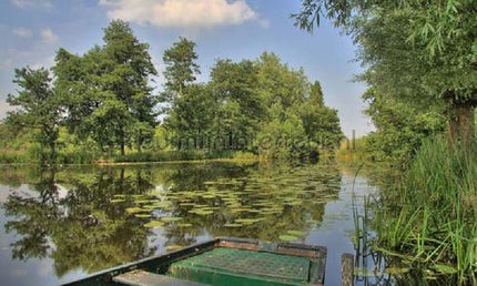 Noordwand Holland 8777 | Bestellen bij https://www.kleurmijninterieur.nl/