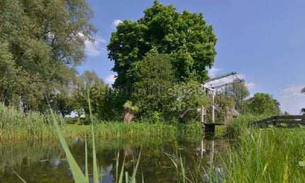 Noordwand Holland 937 | Bestellen bij https://www.kleurmijninterieur.nl/