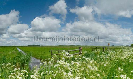 Noordwand Holland 6516 | Bestellen bij https://www.kleurmijninterieur.nl/