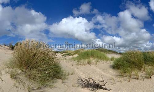 Noordwand Holland 1434 | Bestellen bij https://www.kleurmijninterieur.nl/