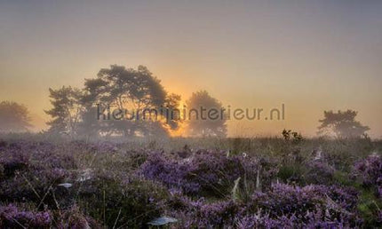 Noordwand Holland 8648 | Bestellen bij https://www.kleurmijninterieur.nl/