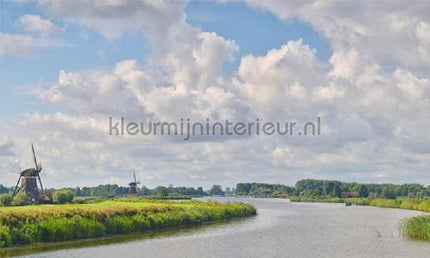 Noordwand Holland 6240 | Bestellen bij https://www.kleurmijninterieur.nl/