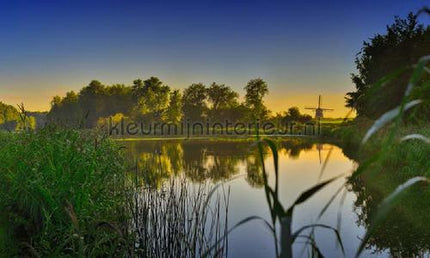 Noordwand Holland 6091 | Bestellen bij https://www.kleurmijninterieur.nl/