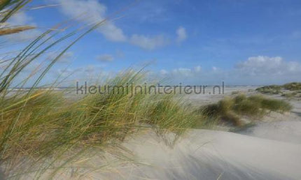 Noordwand Holland 487 | Bestellen bij https://www.kleurmijninterieur.nl/