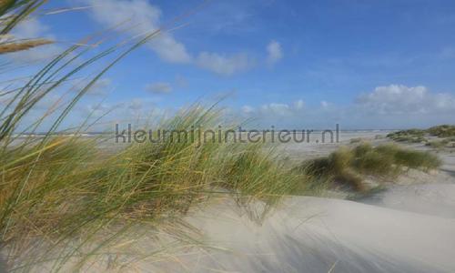 Noordwand Holland 487 | Bestellen bij https://www.kleurmijninterieur.nl/