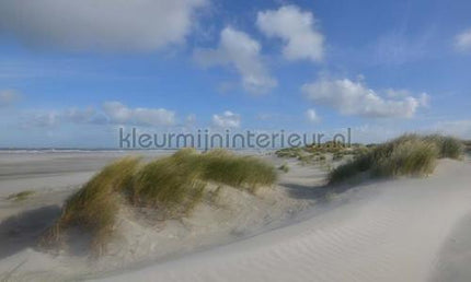 Noordwand Holland 510 | Bestellen bij https://www.kleurmijninterieur.nl/