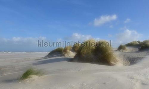 Noordwand Holland 477 | Bestellen bij https://www.kleurmijninterieur.nl/