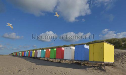 Noordwand Holland 5444 | Bestellen bij https://www.kleurmijninterieur.nl/