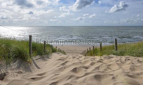 Noordwand Holland 1508 | Bestellen bij https://www.kleurmijninterieur.nl/