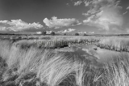 Noordwand Holland 693 | Bestellen bij https://www.kleurmijninterieur.nl/