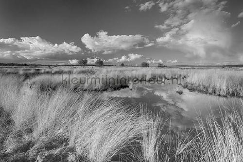Noordwand Holland 693 | Bestellen bij https://www.kleurmijninterieur.nl/