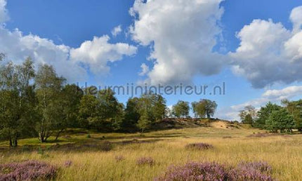 Noordwand Holland 9903 | Bestellen bij https://www.kleurmijninterieur.nl/
