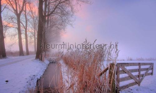 Noordwand Holland 9890 | Bestellen bij https://www.kleurmijninterieur.nl/