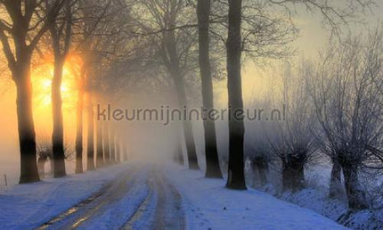 Noordwand Holland 7 | Bestellen bij https://www.kleurmijninterieur.nl/
