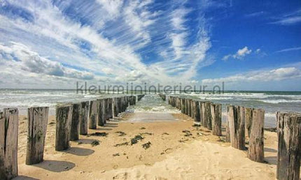 Noordwand Holland 7504 | Bestellen bij https://www.kleurmijninterieur.nl/