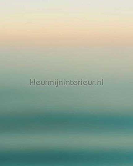 Komar INK INX8-068 | Bestellen bij https://www.kleurmijninterieur.nl/