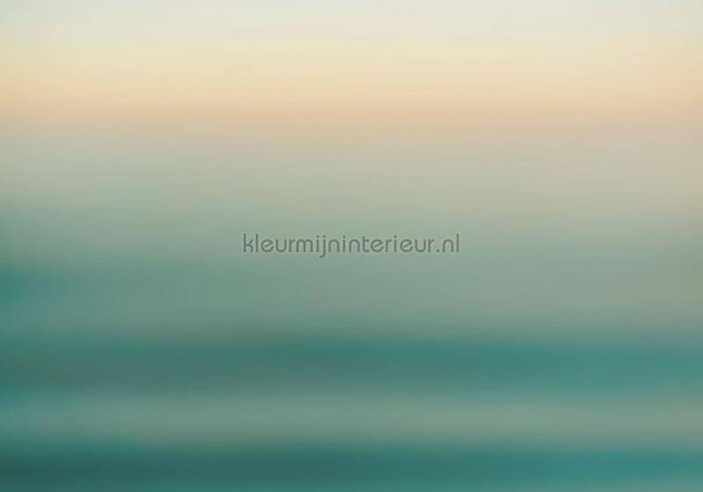 Komar INK INX8-068 | Bestellen bij https://www.kleurmijninterieur.nl/