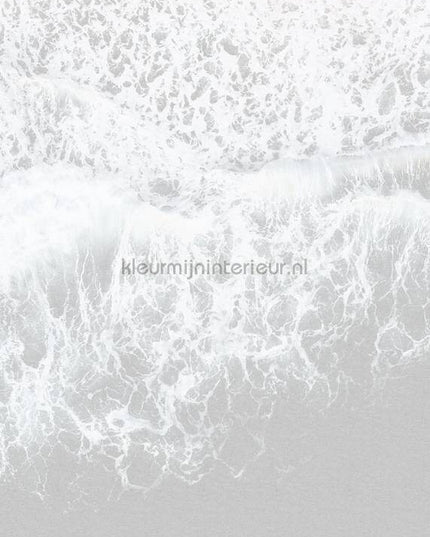 Komar RAW R2-011 | Bestellen bij https://www.kleurmijninterieur.nl/