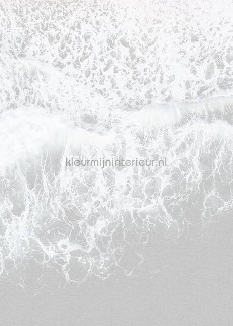 Komar RAW R2-011 | Bestellen bij https://www.kleurmijninterieur.nl/