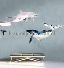 AS Creation Walls by Patel 3 DD122008 | Bestellen bij https://www.kleurmijninterieur.nl/