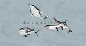 AS Creation Walls by Patel 3 DD122012 | Bestellen bij https://www.kleurmijninterieur.nl/