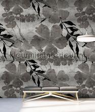 AS Creation Walls by Patel 3 DD122984 | Bestellen bij https://www.kleurmijninterieur.nl/