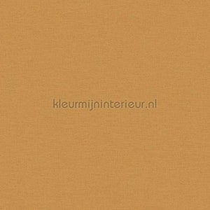 AS Creation Ethnic Origin 371784 | Bestellen bij https://www.kleurmijninterieur.nl/