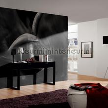 Architects Paper AP Digital 2 470506 200 grams | Bestellen bij https://www.kleurmijninterieur.nl/