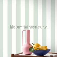 Casadeco Les Rayures RAYS87436032 | Bestellen bij https://www.kleurmijninterieur.nl/