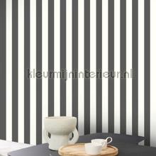 Casadeco Les Rayures RAYS87439908 | Bestellen bij https://www.kleurmijninterieur.nl/