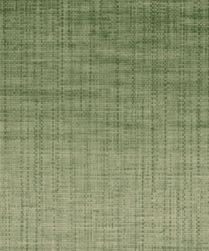 Crocodile | kleurmijninterieur