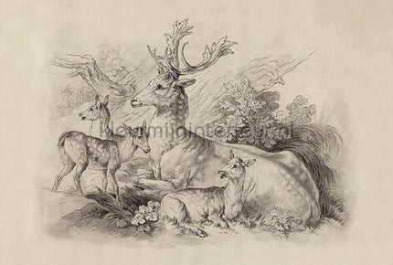 AS Creation Walls by Patel 3 DD122380 | Bestellen bij https://www.kleurmijninterieur.nl/