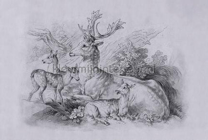 AS Creation Walls by Patel 3 DD122384 | Bestellen bij https://www.kleurmijninterieur.nl/