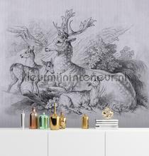 AS Creation Walls by Patel 3 DD122384 | Bestellen bij https://www.kleurmijninterieur.nl/