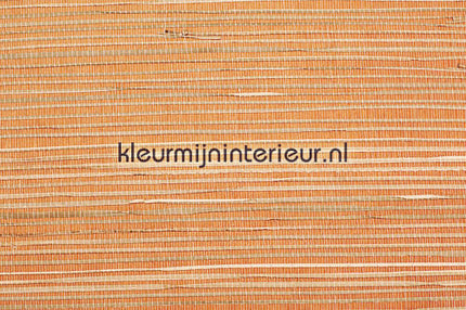 Rodeka Savanna 50-005 | Bestellen bij https://www.kleurmijninterieur.nl/