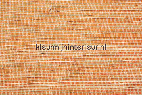 Rodeka Savanna 50-005 | Bestellen bij https://www.kleurmijninterieur.nl/