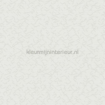 Hookedonwalls New Wave 24839 | Bestellen bij https://www.kleurmijninterieur.nl/