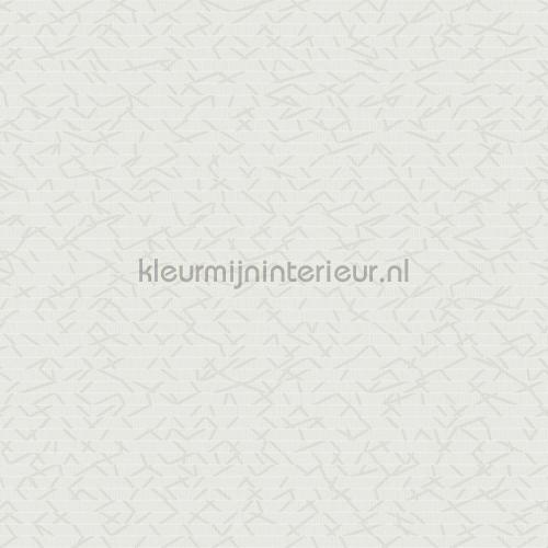 Hookedonwalls New Wave 24839 | Bestellen bij https://www.kleurmijninterieur.nl/