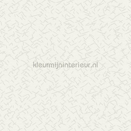 Hookedonwalls New Wave 24841 | Bestellen bij https://www.kleurmijninterieur.nl/