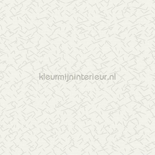 Hookedonwalls New Wave 24841 | Bestellen bij https://www.kleurmijninterieur.nl/